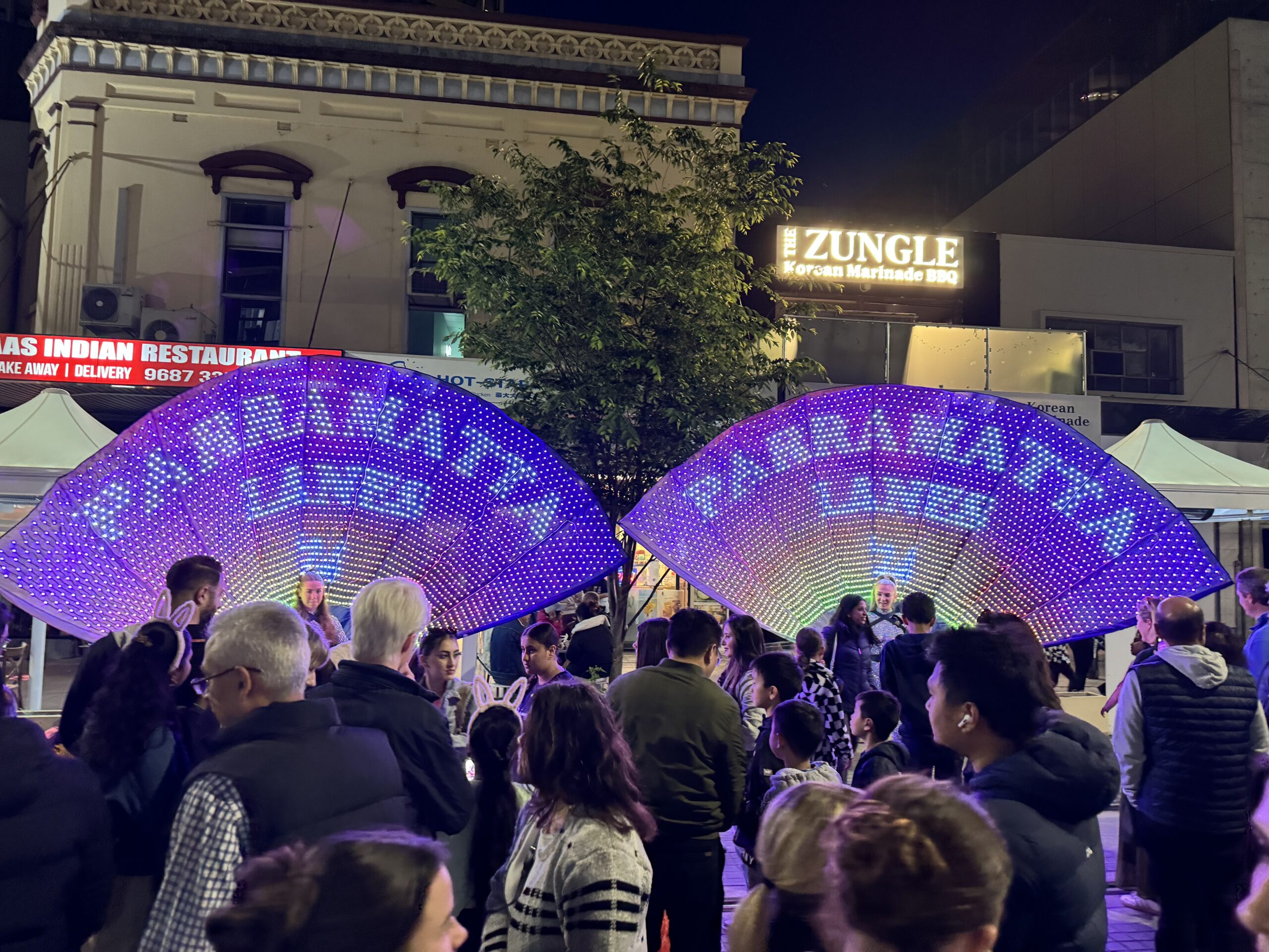 LED Peacock fan highlight